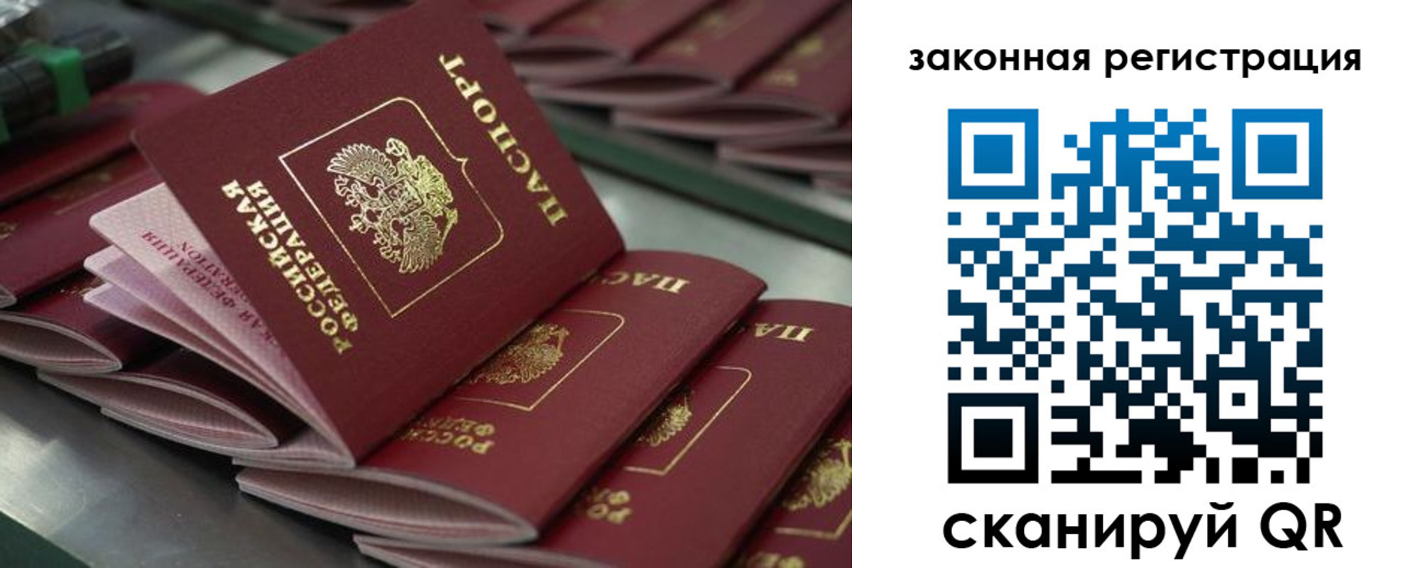 регистрация для школы в Королёве